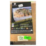 Prehistoric sea monsters set