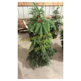 Black Hills Spruce 3 ft to 4 ft