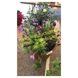 12 inch mixed planter