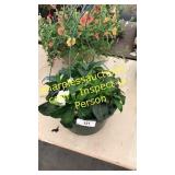 12 inch impatient basket