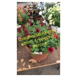 12 inch petunia planter