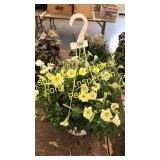 12 inch petunia basket