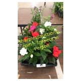 4 inch assorted annuals (QTY X 10)