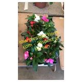 4 inch assorted annuals (QTY X 10)