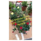 1 gallon rose (QTY X 3)