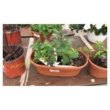 Herb planter