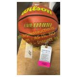 Wilson Evolution basket ball