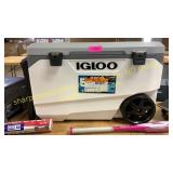 Igloo Maxcold cooler