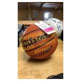 Wilson Evolution Interm Size indoor basketball