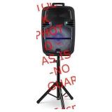 15" Bluetooth Party Speaker with Microphone stand