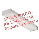 Lithonia Lighting  White Fluorescent (BIDx2)