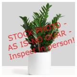 Peach & Pebble 12 in. White Ceramic Indoor