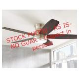 Home Decorators Collection Ashby Park 52 in.