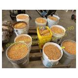 10 Buckets of Cracked Corn