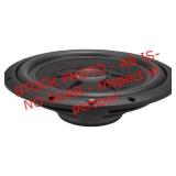 Rockford Fosgate R2SD2-10