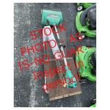 Shingles, snow blower