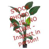 NATURAE DECOR 70 in. Artificial Bird of Paradise