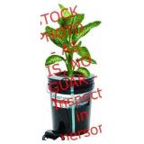 The Root Spa Bucket System (no plant)