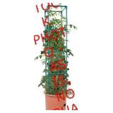 Heavy Duty Tomato Barrel w/Tower