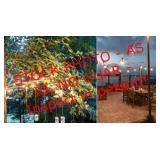 Ambience pro LED outdoor globe string lights