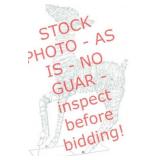 Phillips standing deer