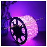 HuiZhen 24V 100ft 2-Wire LED Rope Light Purple