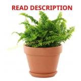 3 Ct. Deroma 10 in. Terra Cotta Clay Pots