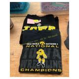 2ct Iowa Hawkeye XL Graphic T