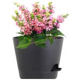 Meowell 12" Large Self-Watering Pots, Black