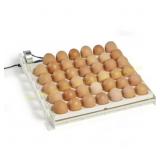Farm Innovators 41-Egg Turner 120V