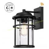 13 in. 1-Light Matte Black Wall Lantern