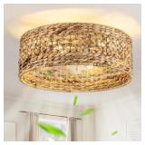 DDLLDESHI Caged Ceiling Fan with Light