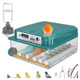 CoInceptus 16 Eggs Incubator with Auto Turn