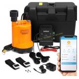 Briidea Battery Backup Sump Pump System (12V)