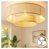 20" Caged Ceiling Fan with Lights, Remote