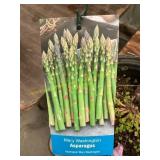 #1 pot Mary Washington Asparagus