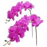 Fnize Artificial Orchid Stems, Rose Red 38"