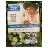 #3 Pot Grin & Tonic Reblooming Hydrangea