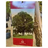 #7 Pot Bur Oak