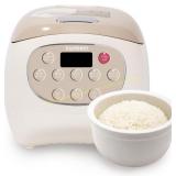 Joydeem Ceramic Rice Cooker, 2-Cup, PFOA Free