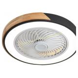 Black 20" Fan Light with Remote