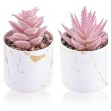 Rose Set of 2 Succulent Plants for Desk Pink