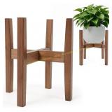 Natural Bamboo Plant Natural Bamboo Plant