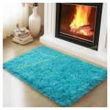 Mugorn 2x3 Rug, Fluffy Shag, 4 Non-Slip Pads