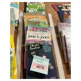 10ct Chapter Books