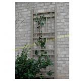 75 in. x 28 in. Mocha Trellis Vinyl Wellington