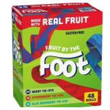Fruit by the Foot Variety Pack 48ct
