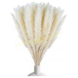 30 Pcs White Pampas Grass, 17' Decor