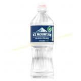 Ice Mountain Spring Water 700 ml 10pk