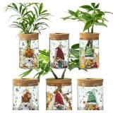 Propagation Stations: 6 Glass Vases for Plants